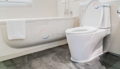 Quita Sarro Industrial para Sanitario y Baño